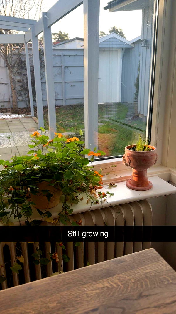 mathilda_bergs image ~ Altpins