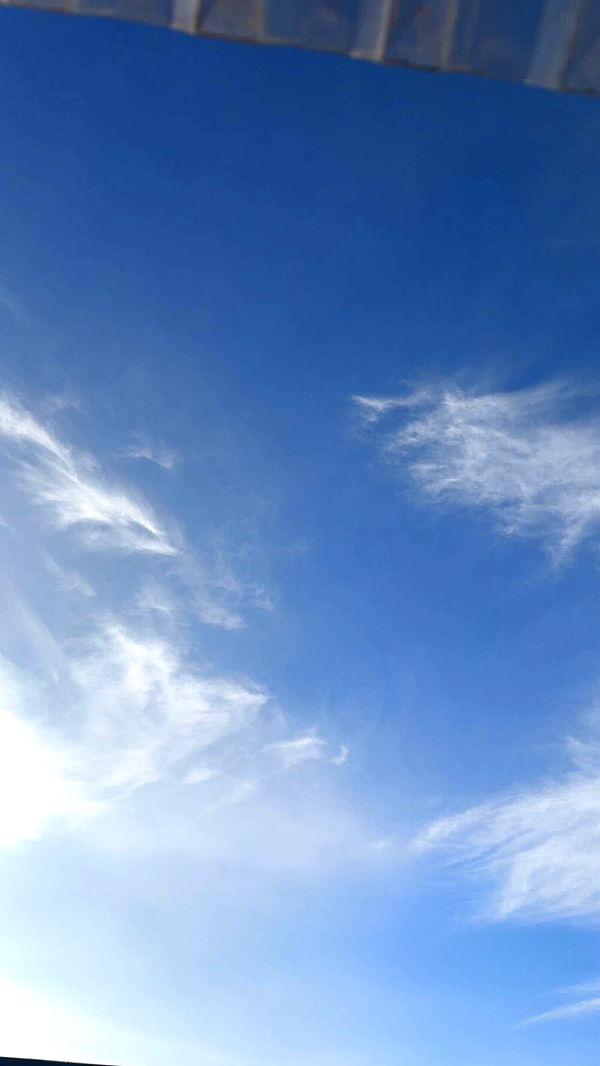 mathilda_bergs image ~ Altpins