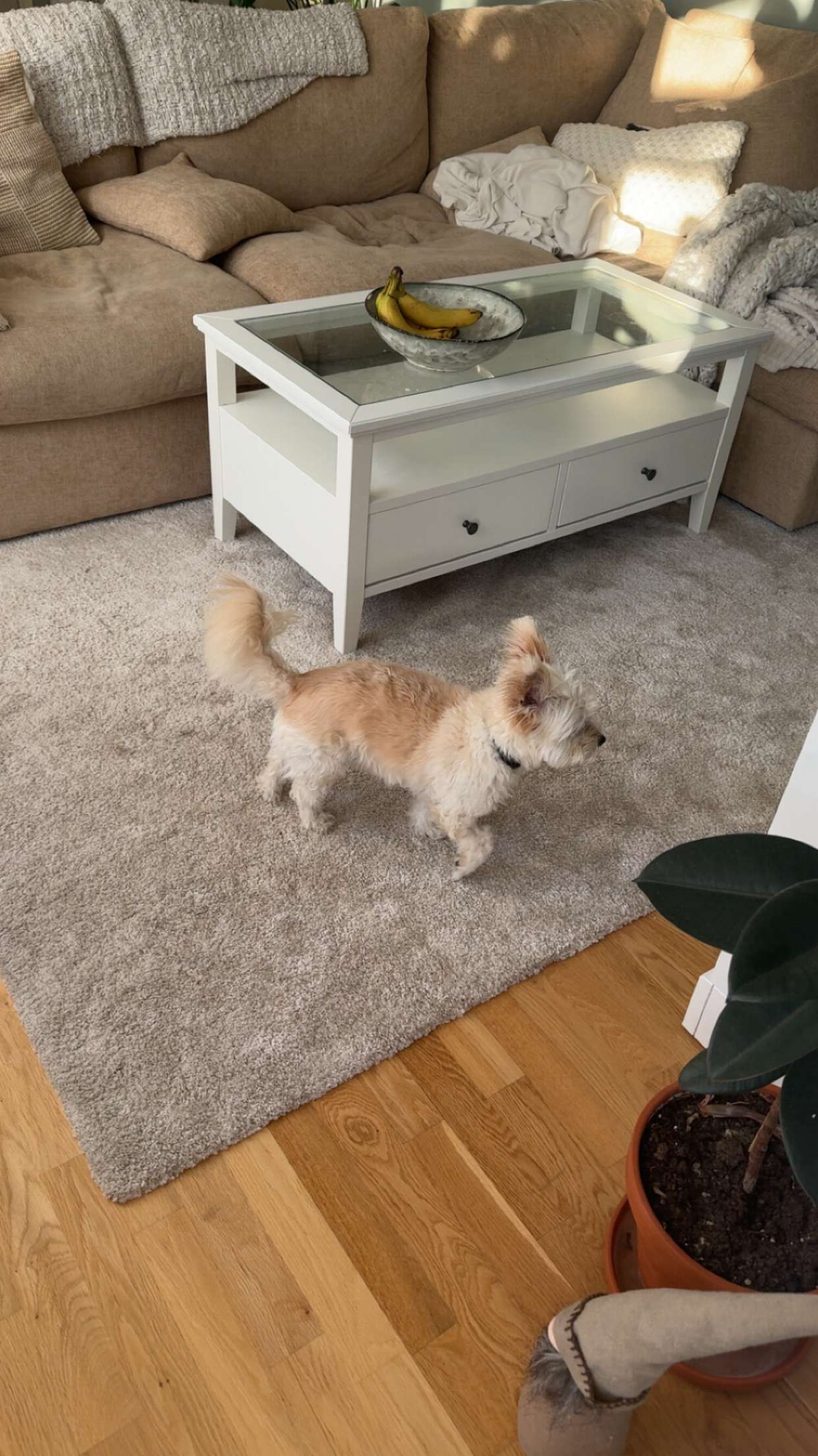 mathilda_bergs snapchat image archive image