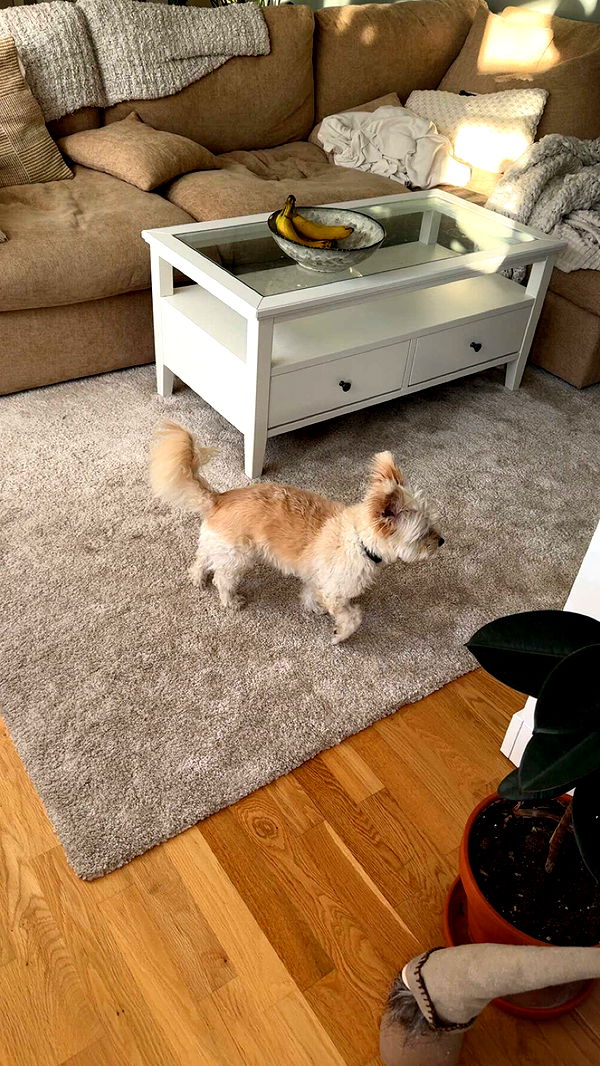 mathilda_bergs image ~ Altpins