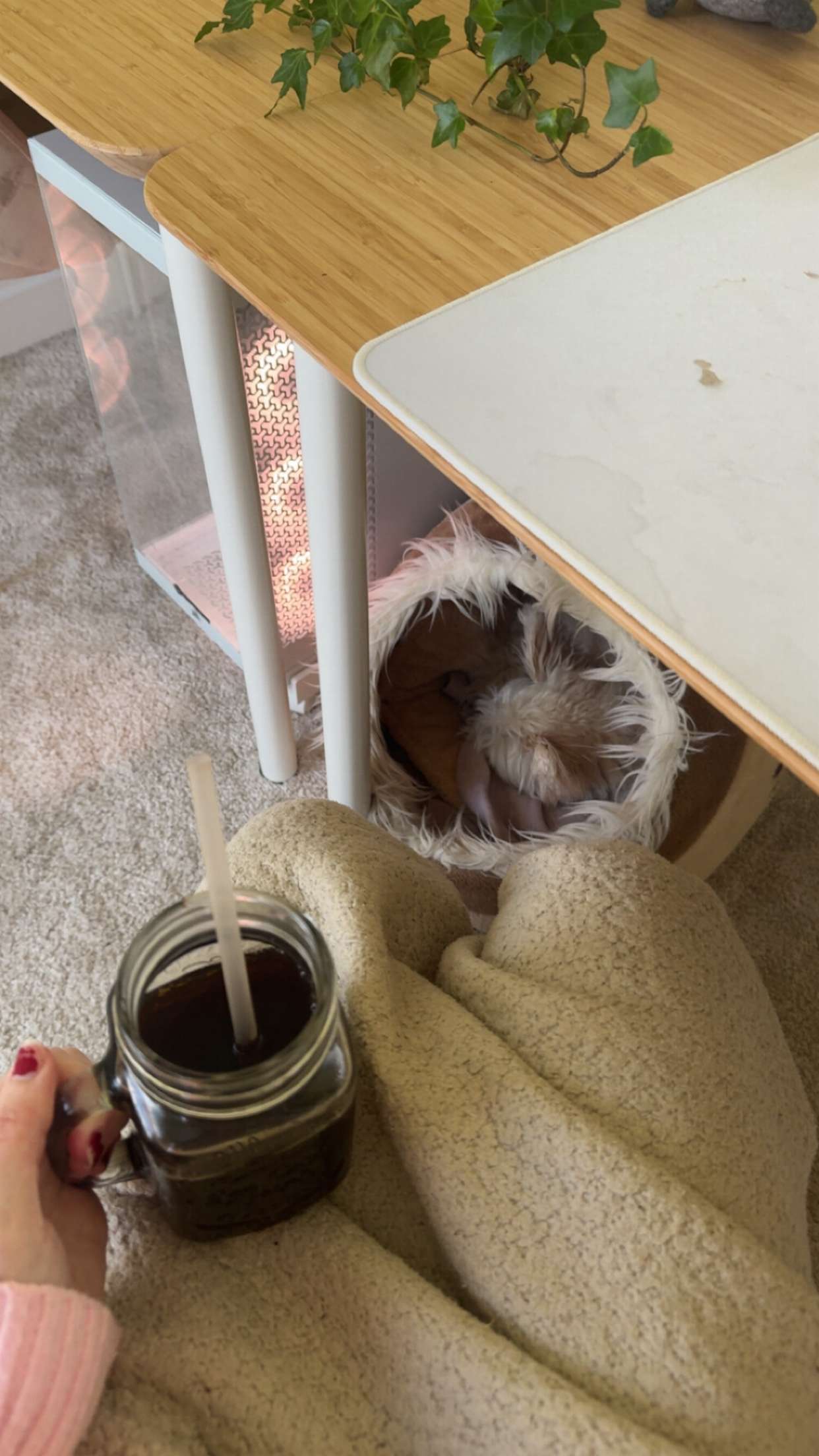 mathilda_bergs snapchat image archive image