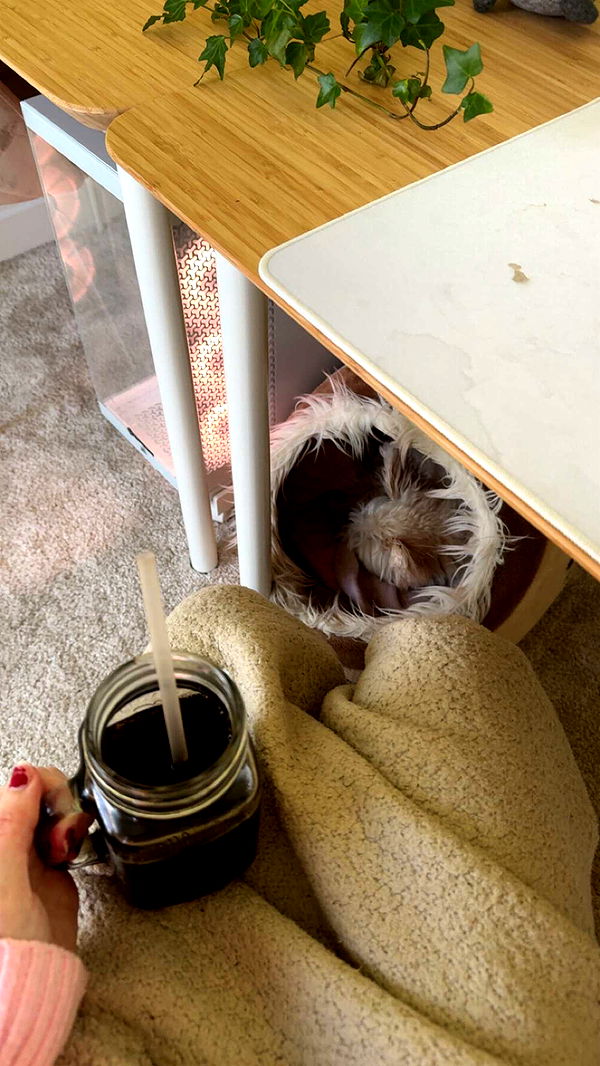 mathilda_bergs image ~ Altpins