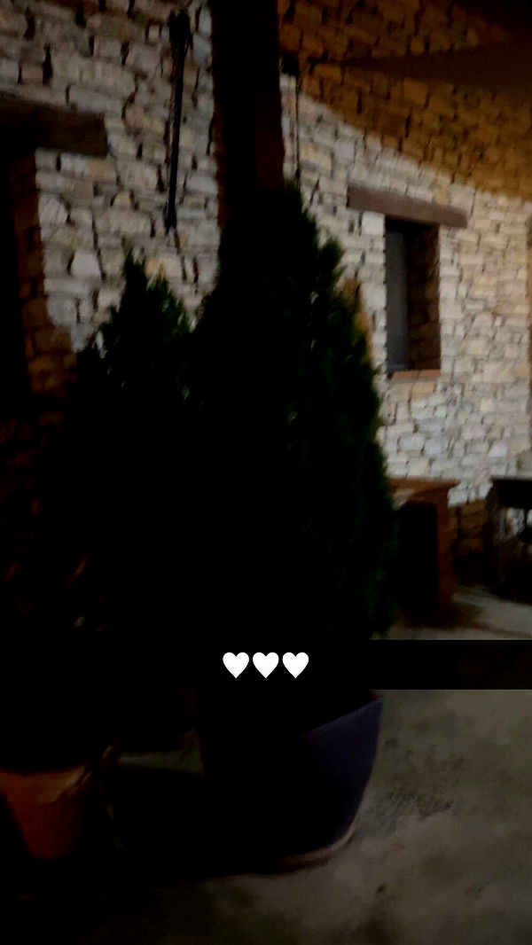 mathilda_bergs image ~ Altpins