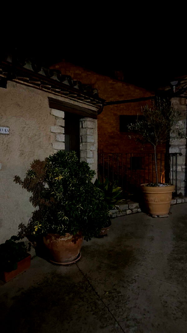 mathilda_bergs image ~ Altpins