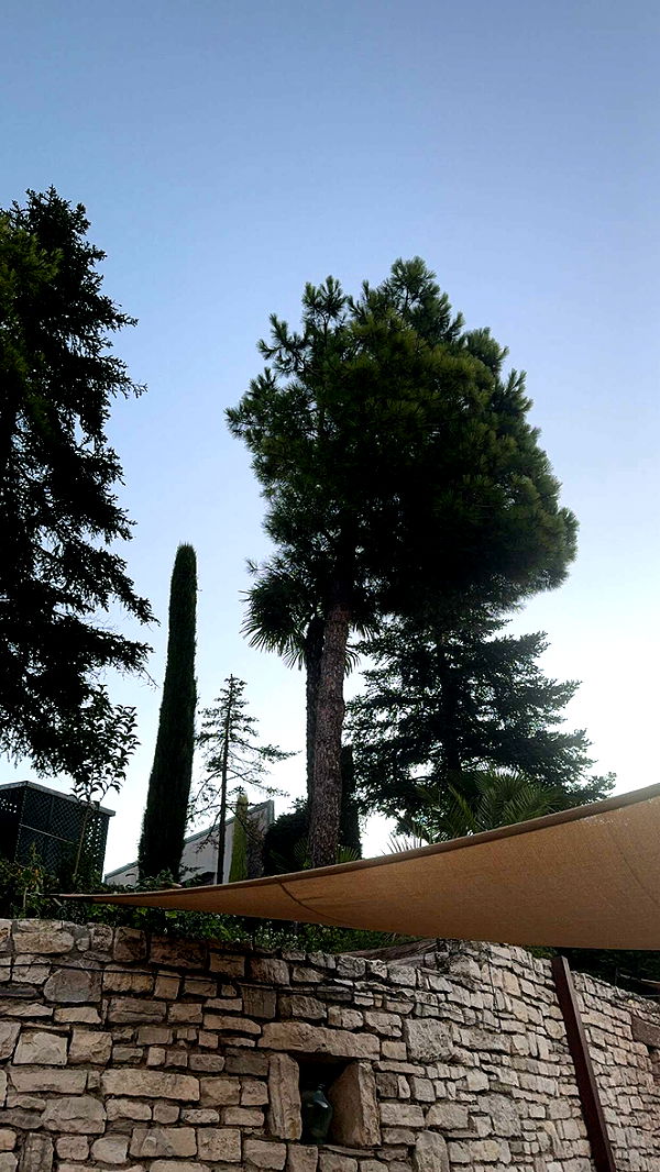 mathilda_bergs image ~ Altpins