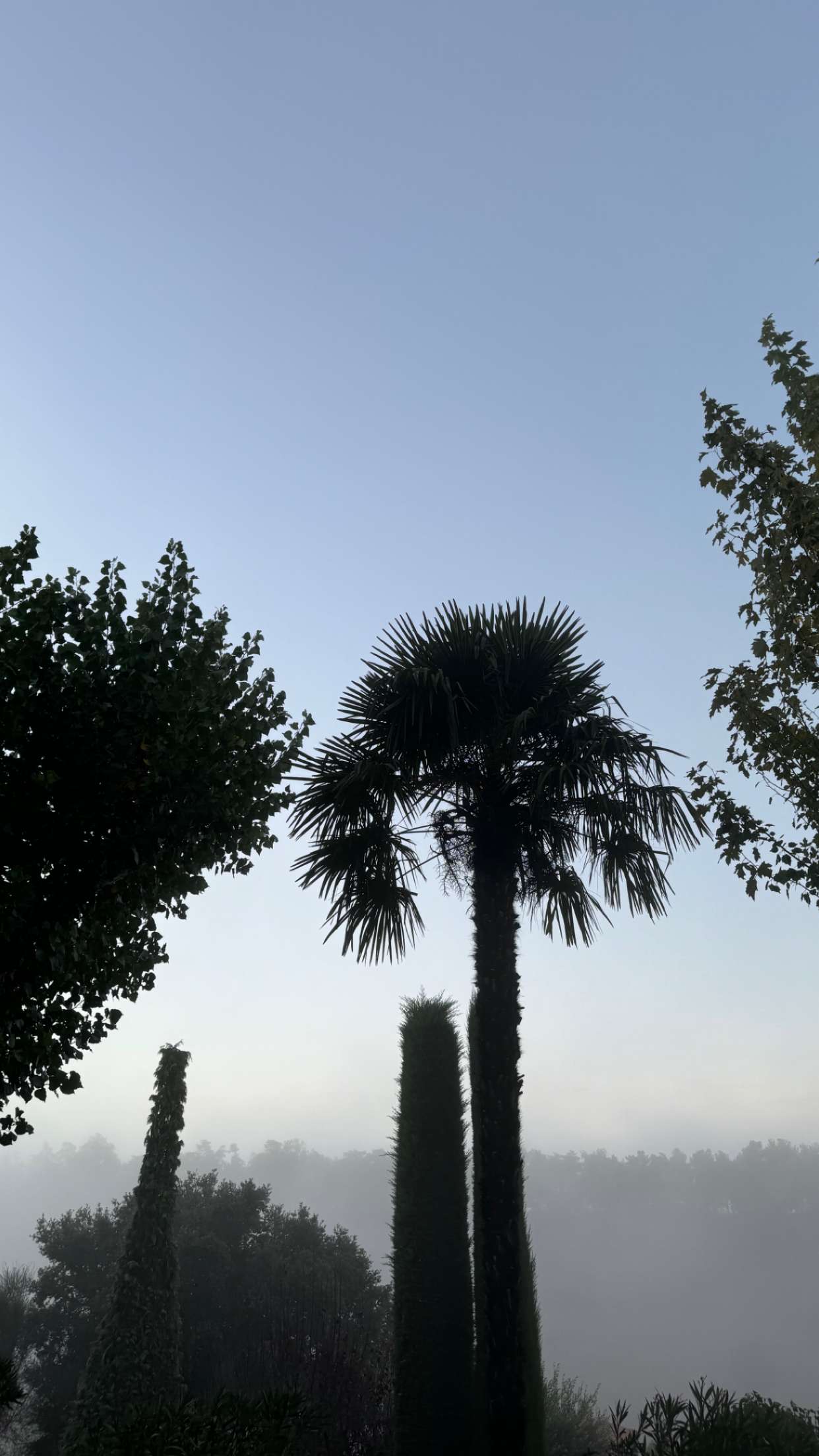 mathilda_bergs snapchat image archive image