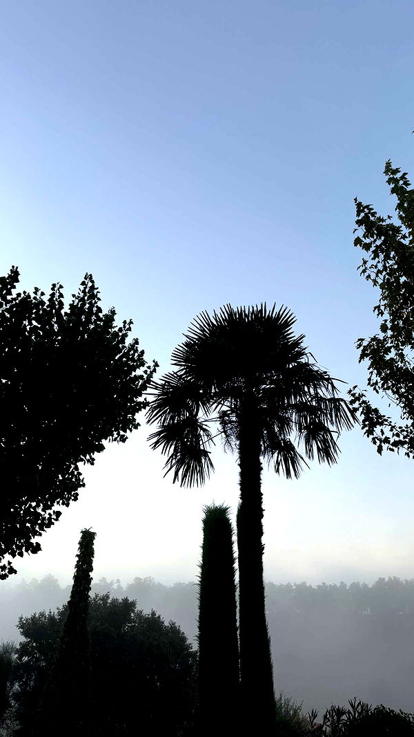 mathilda_bergs image ~ Altpins