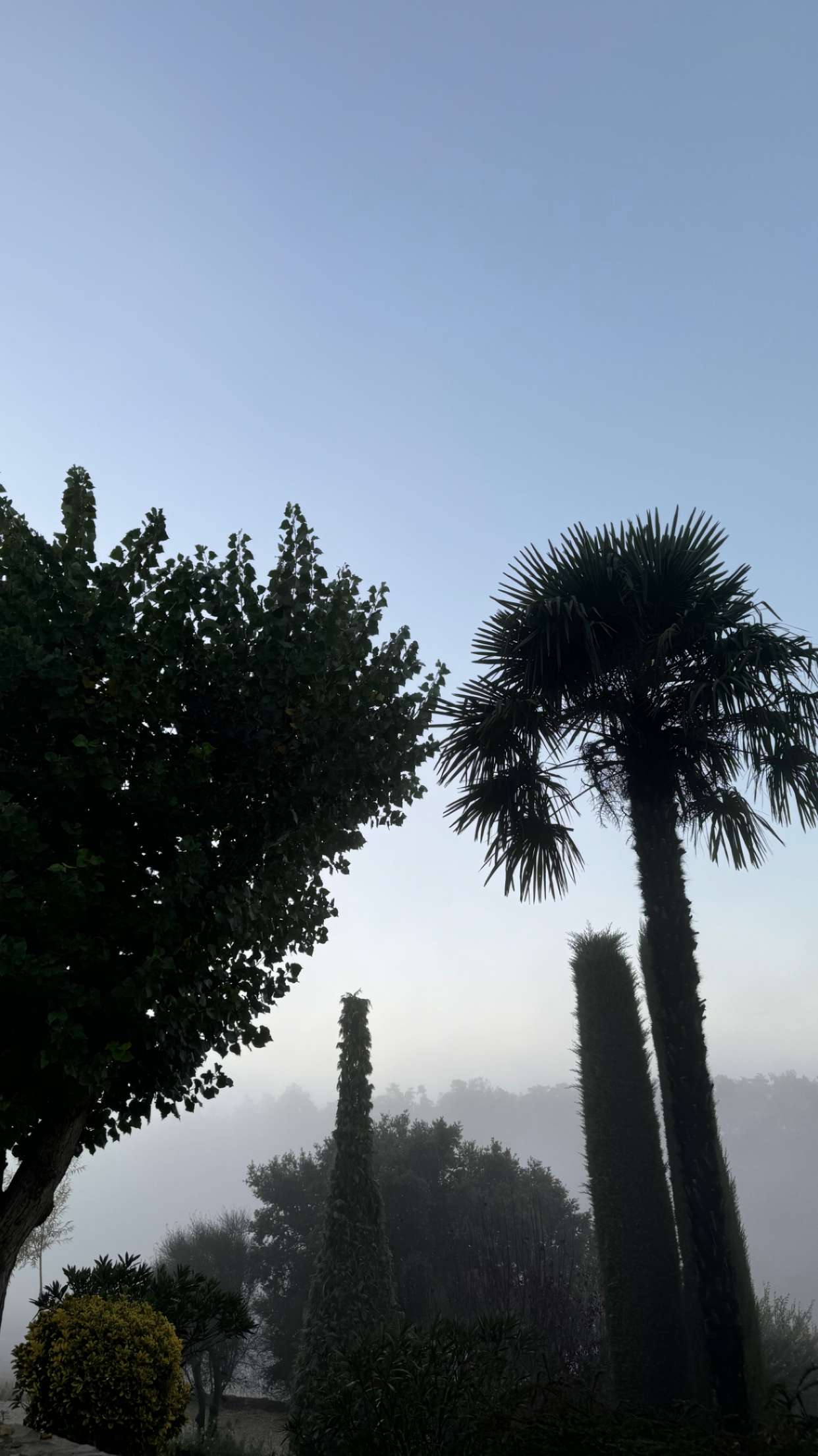 mathilda_bergs snapchat image archive image