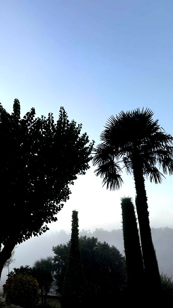 mathilda_bergs image ~ Altpins