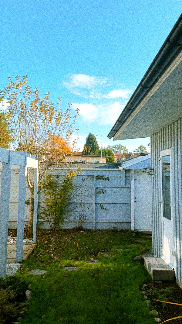 mathilda_bergs image ~ Altpins