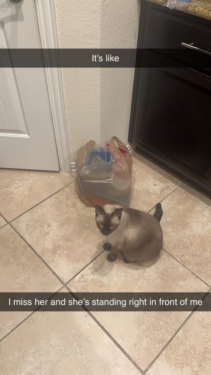 mbeeco snapchat image archive image