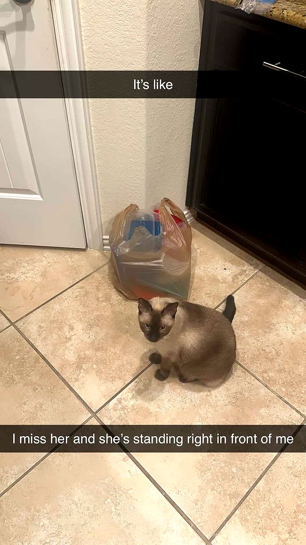 mbeeco image ~ Altpins