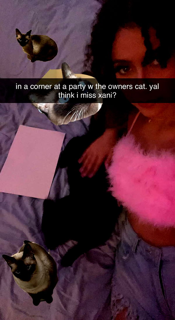 mbeeco image ~ Altpins