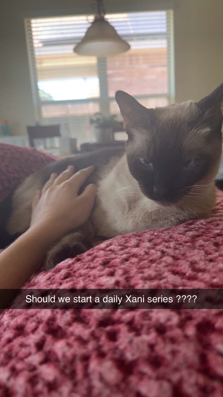 mbeeco snapchat image archive image