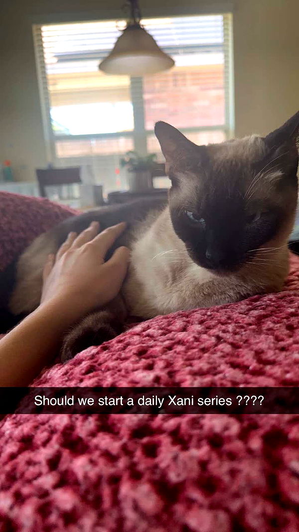 mbeeco image ~ Altpins