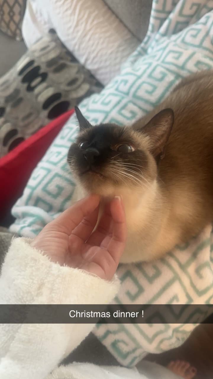 mbeeco snapchat image archive image