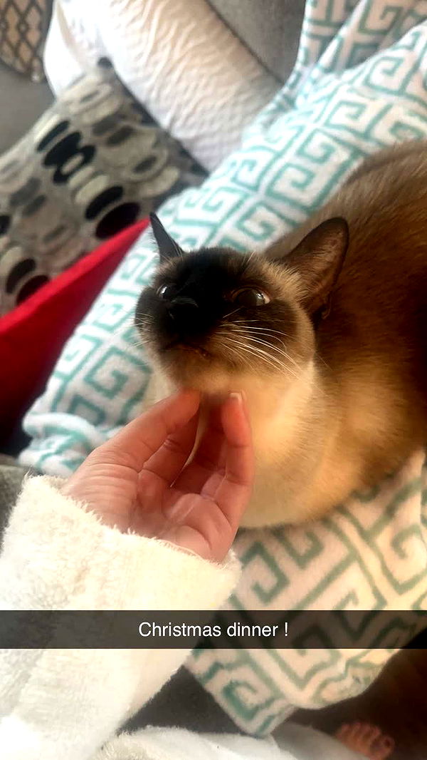 mbeeco image ~ Altpins