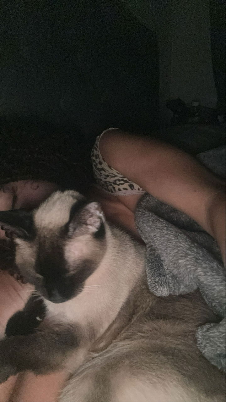 mbeeco snapchat image archive image