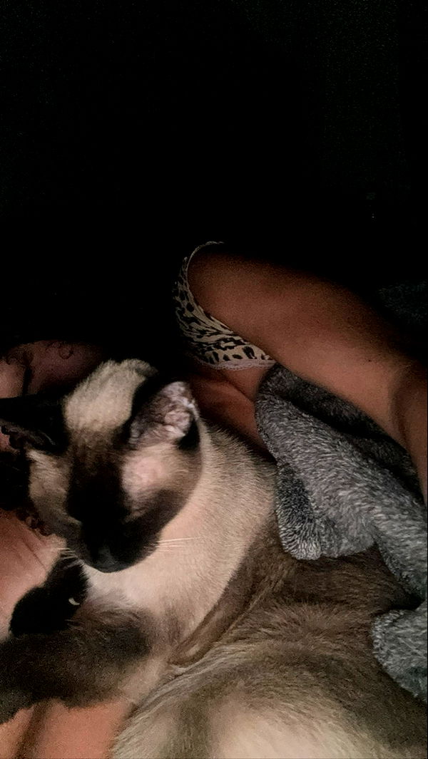 mbeeco image ~ Altpins