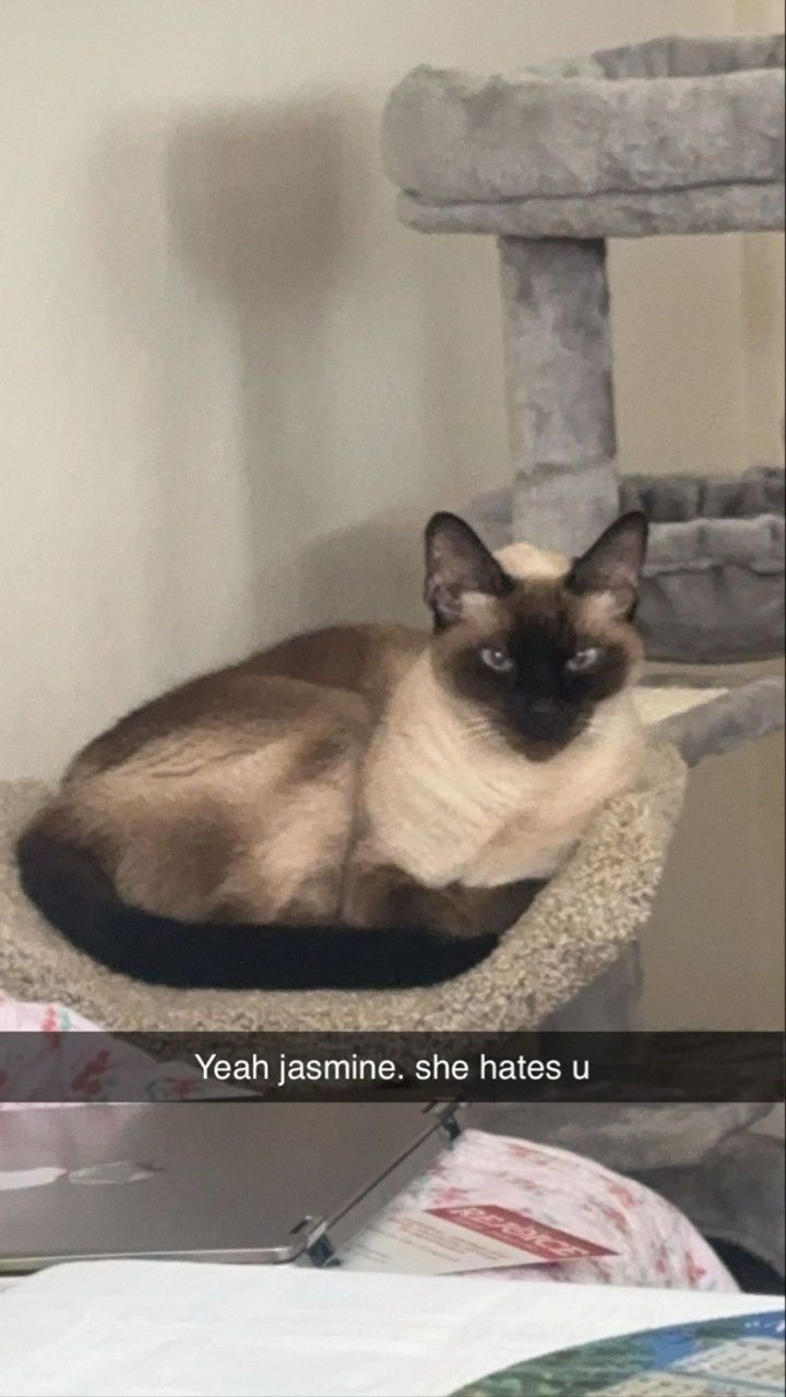 mbeeco snapchat image archive image