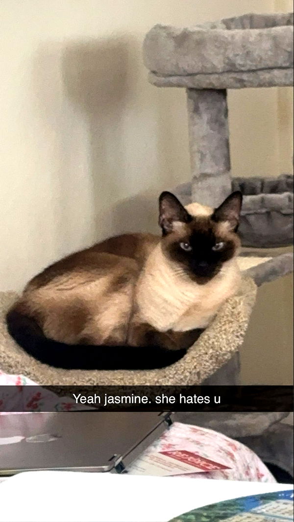 mbeeco image ~ Altpins