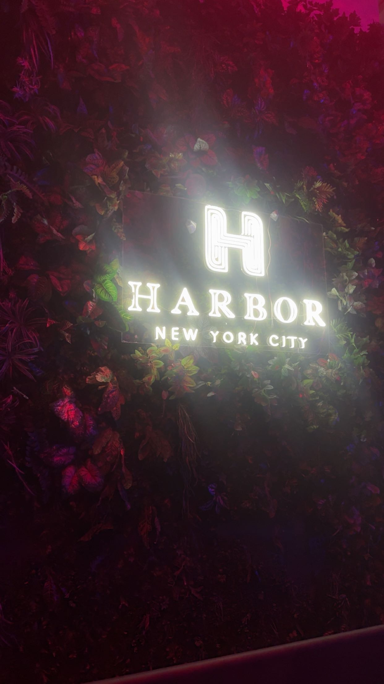 mbeeco snapchat image archive image