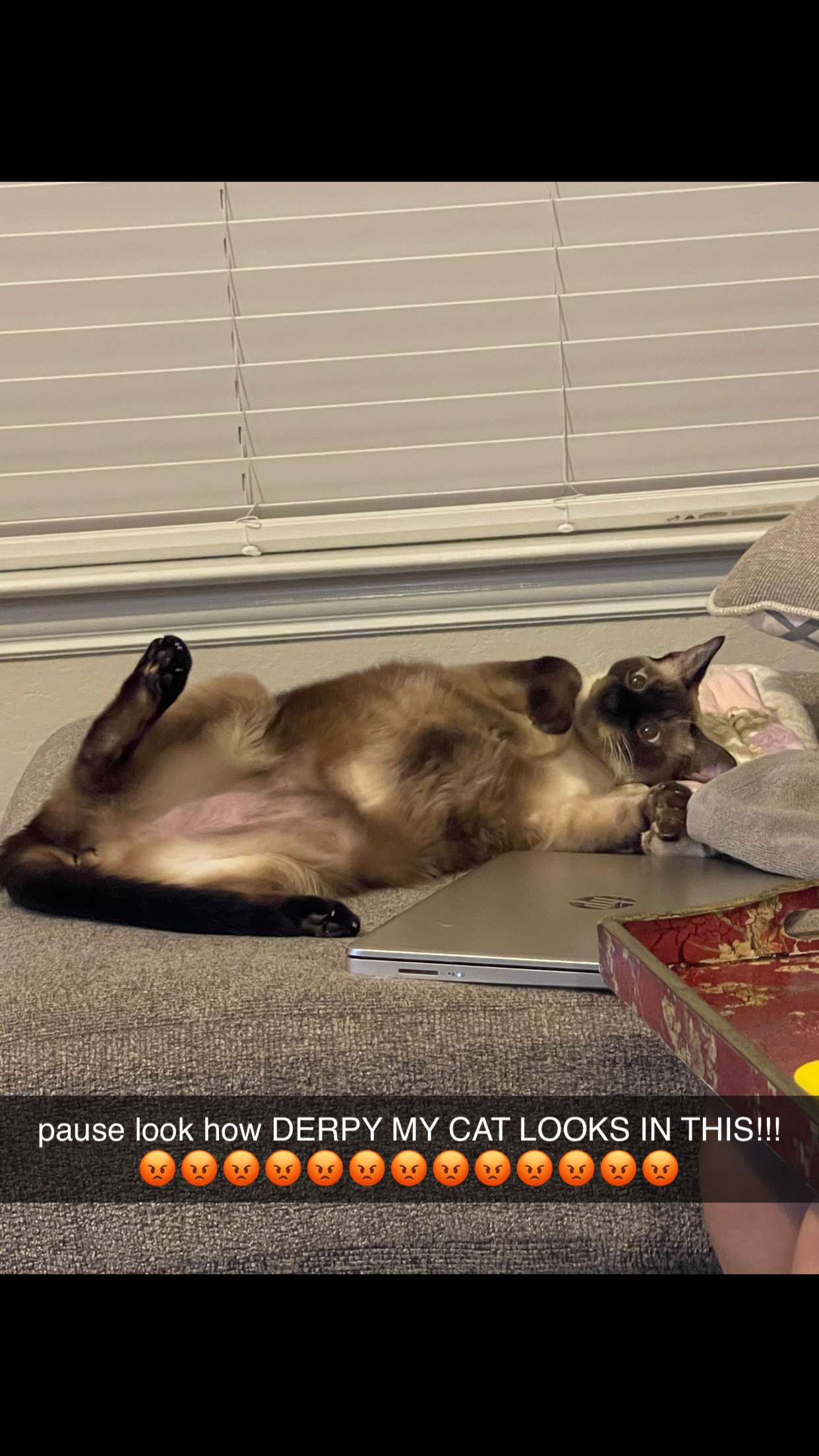 mbeeco snapchat image archive image