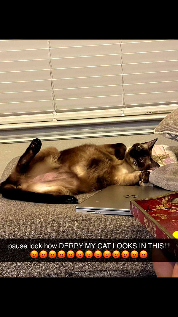 mbeeco image ~ Altpins