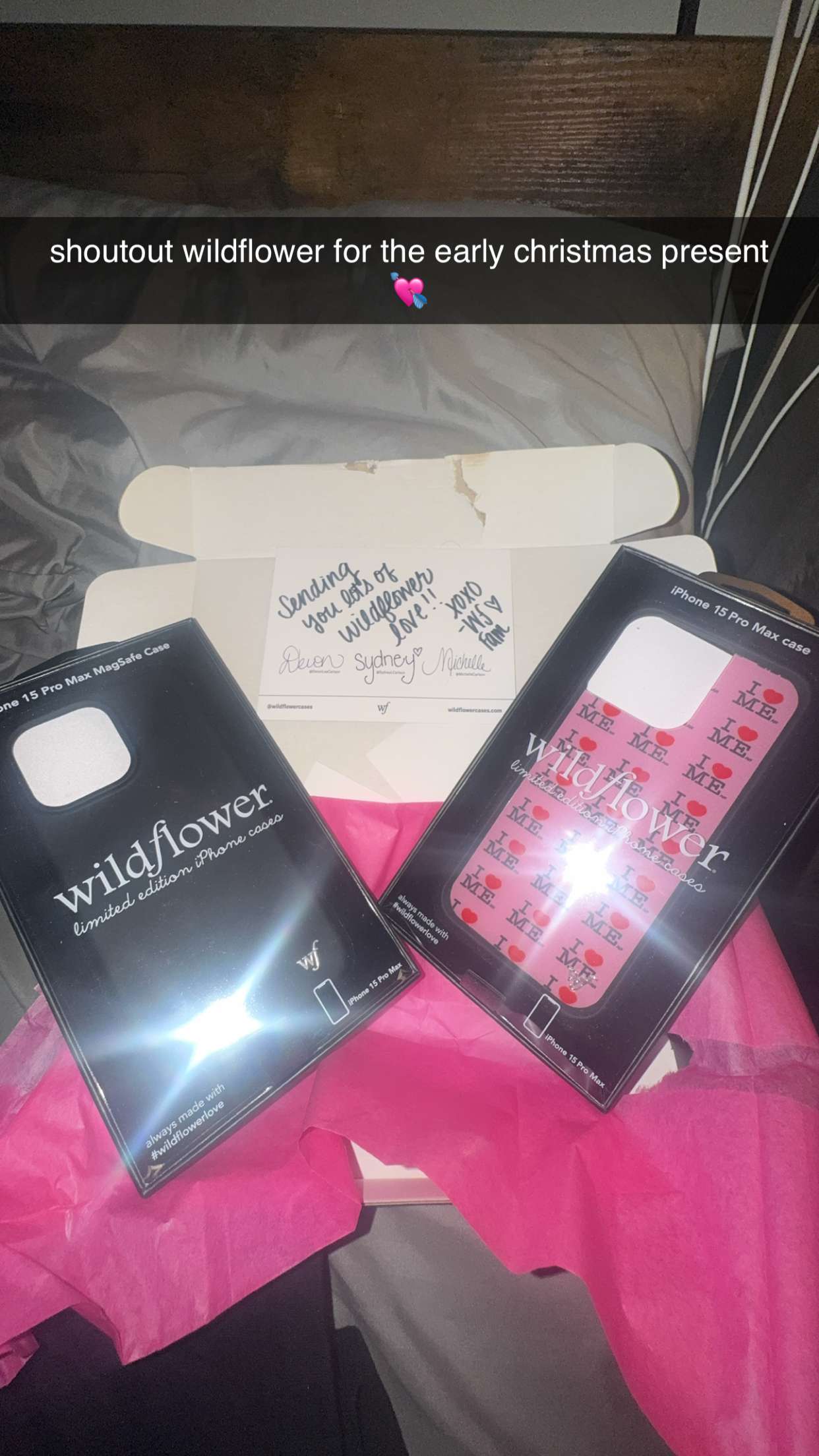 mbeeco snapchat image archive image