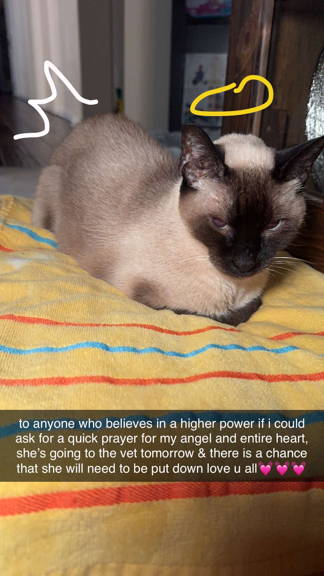 mbeeco snapchat image archive image