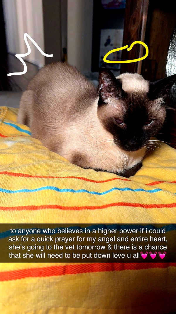 mbeeco image ~ Altpins