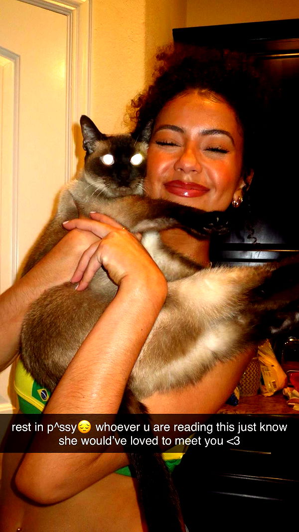 mbeeco image ~ Altpins