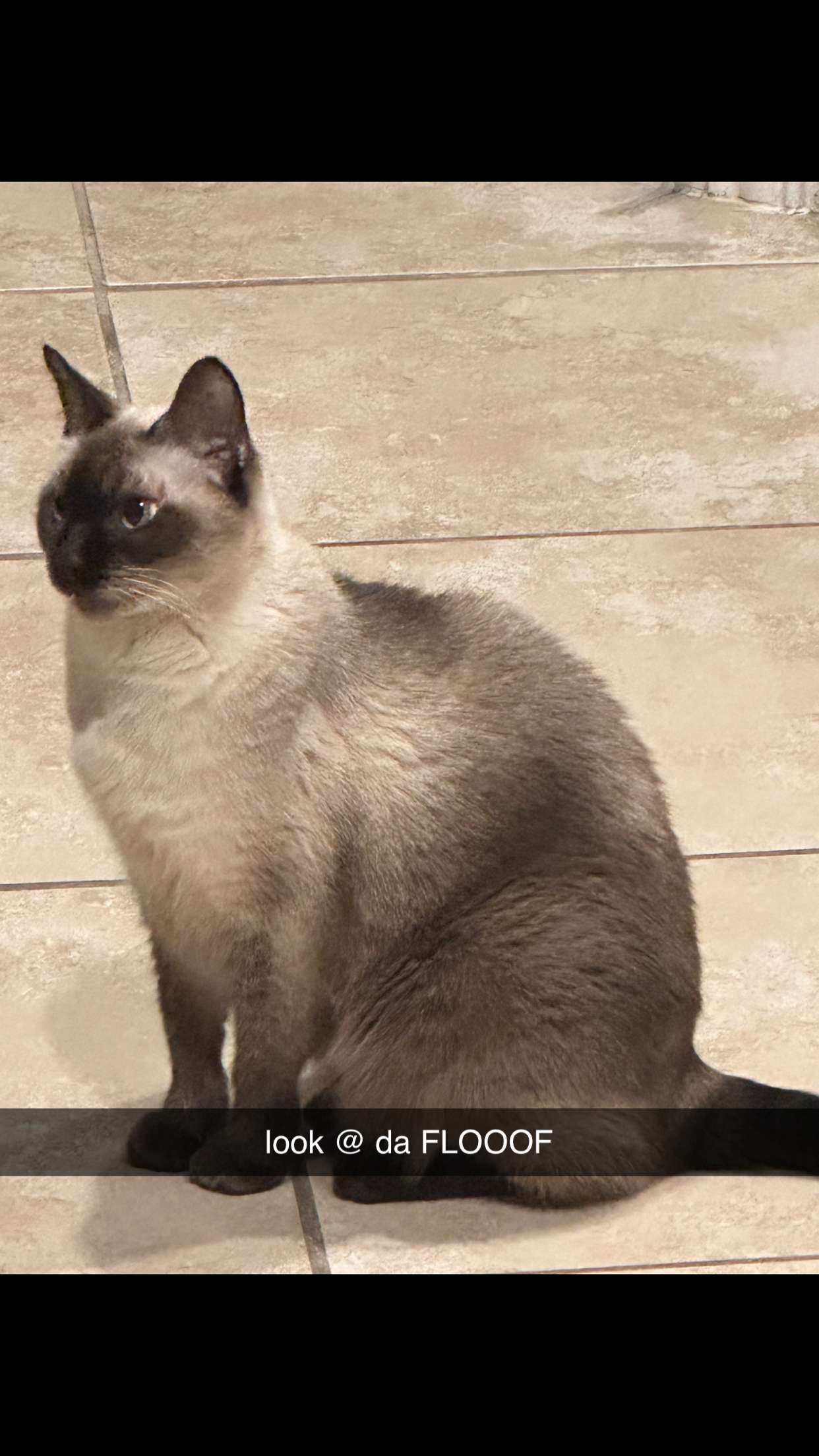 mbeeco snapchat image archive image