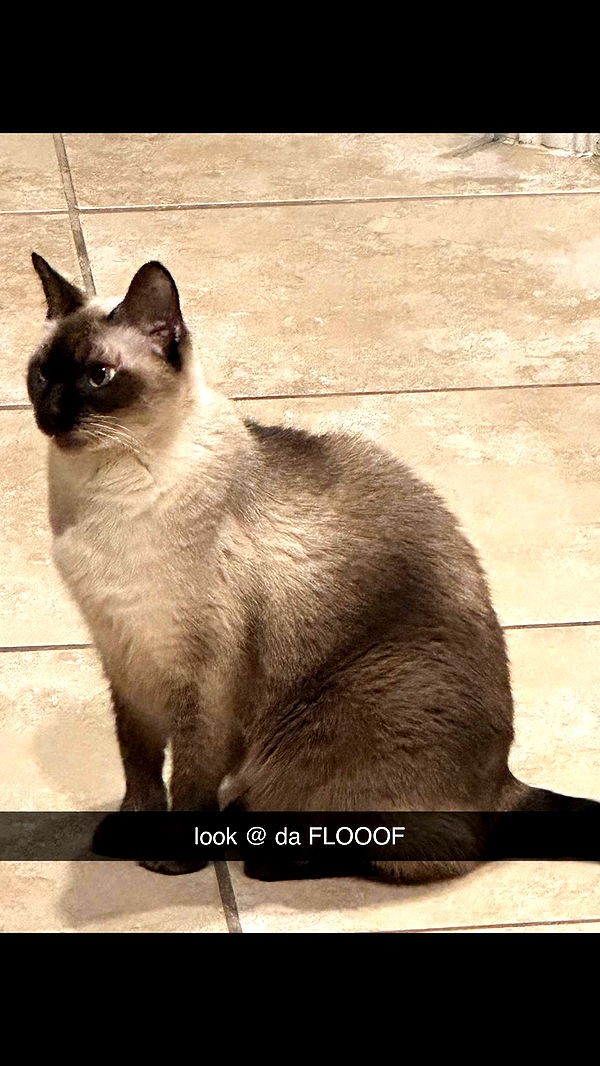 mbeeco image ~ Altpins