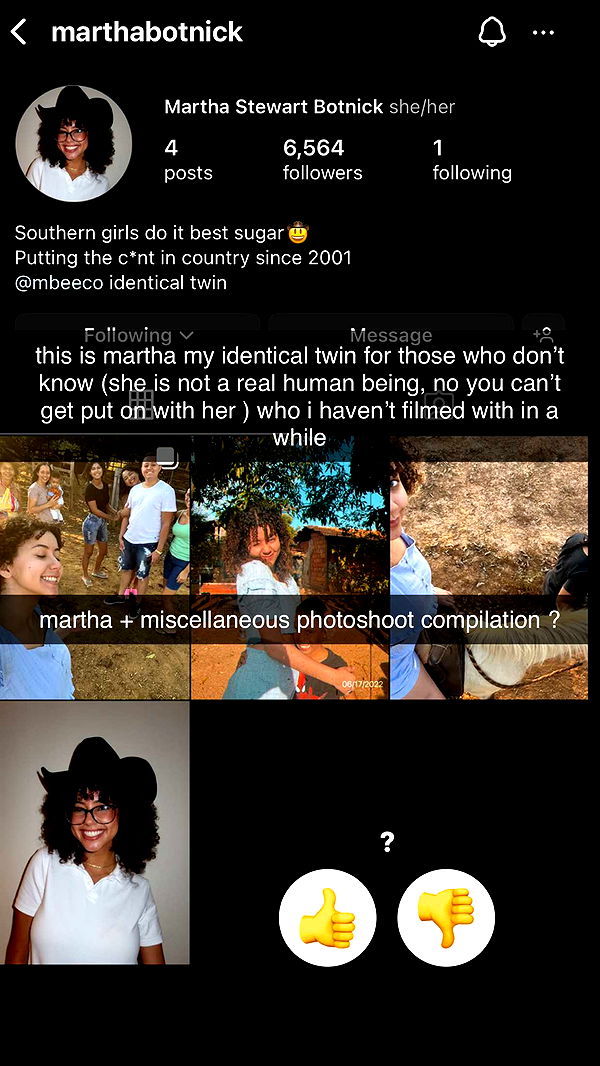 mbeeco image ~ Altpins