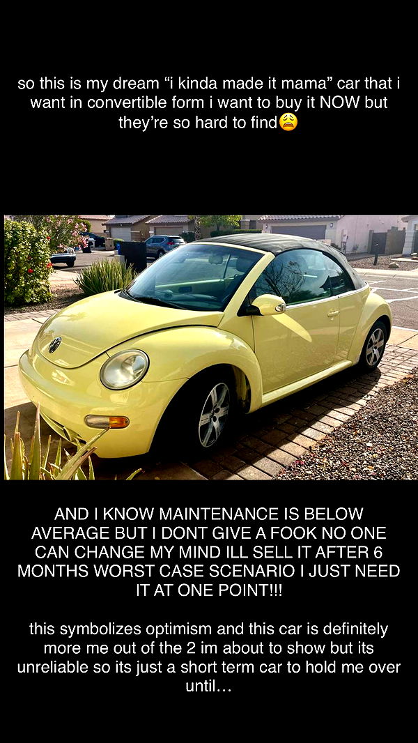 mbeeco image ~ Altpins