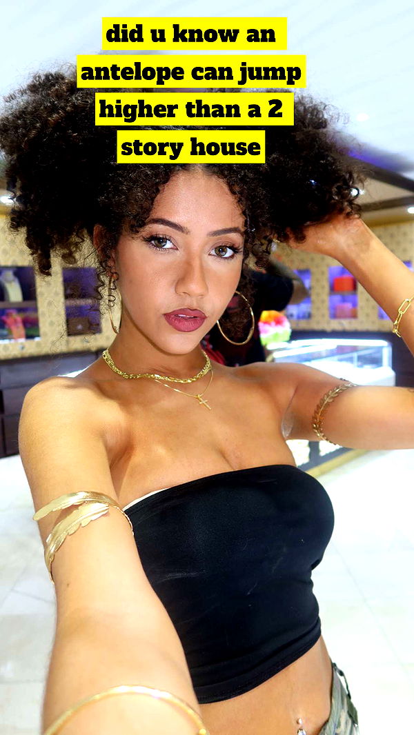 mbeeco image ~ Altpins