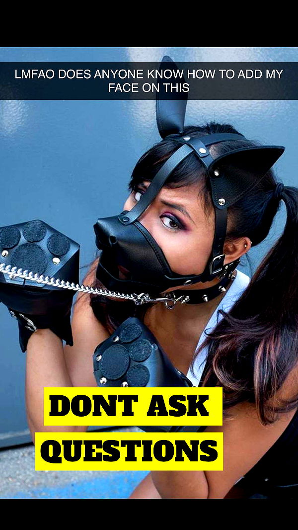 mbeeco image ~ Altpins