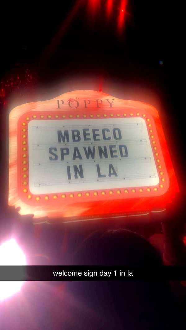 mbeeco image ~ Altpins