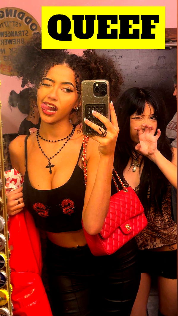 mbeeco image ~ Altpins