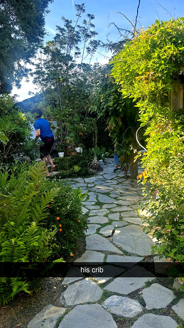 mbeeco image ~ Altpins