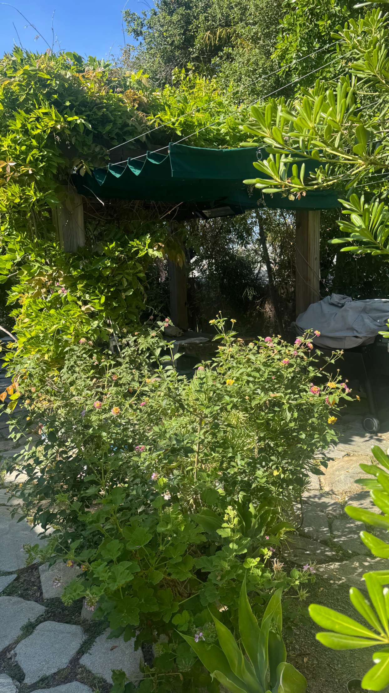 mbeeco snapchat image archive image