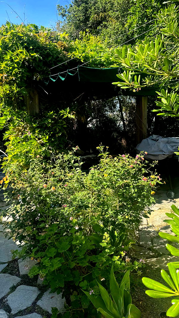 mbeeco image ~ Altpins