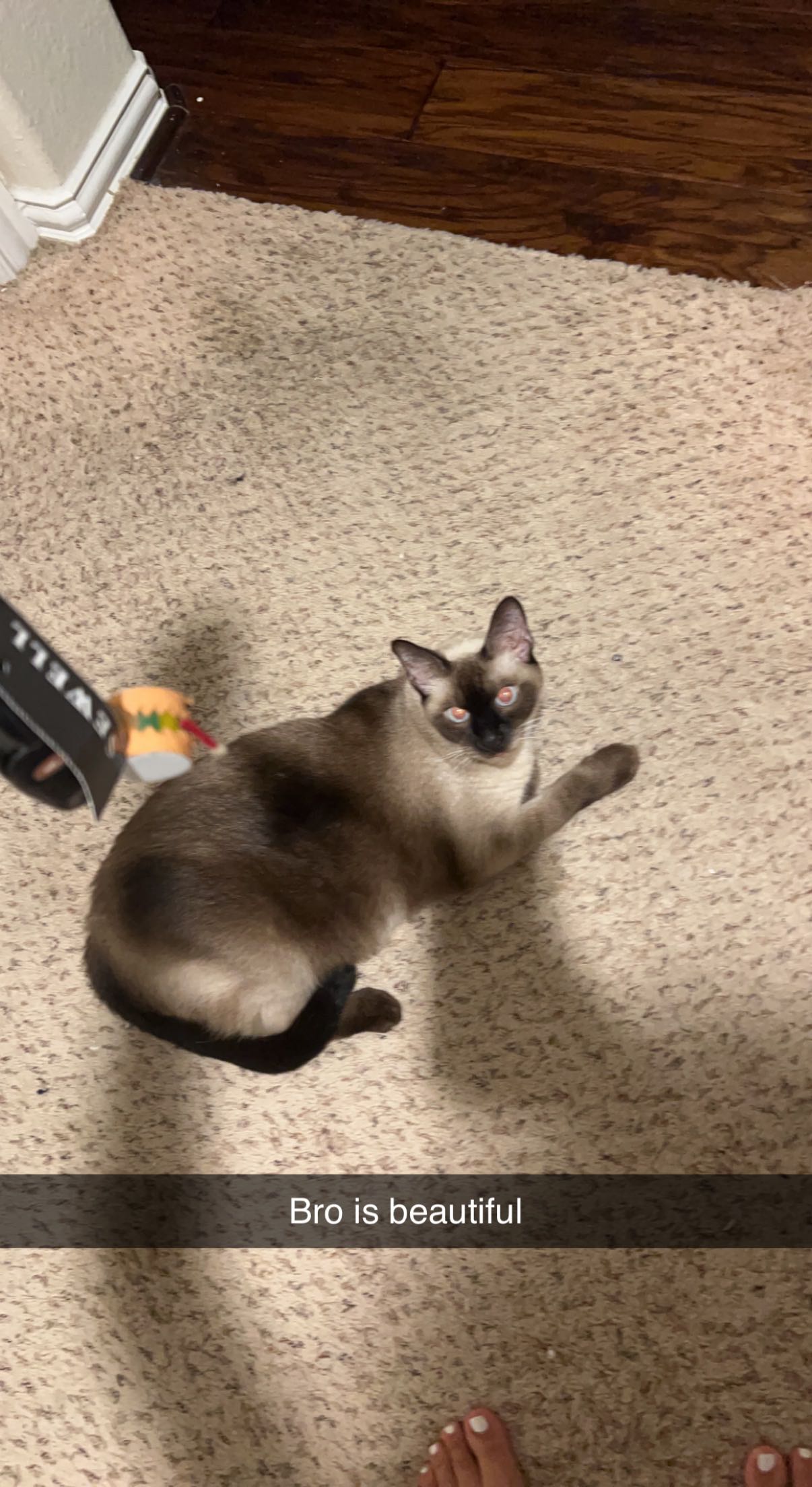 mbeeco snapchat image archive image