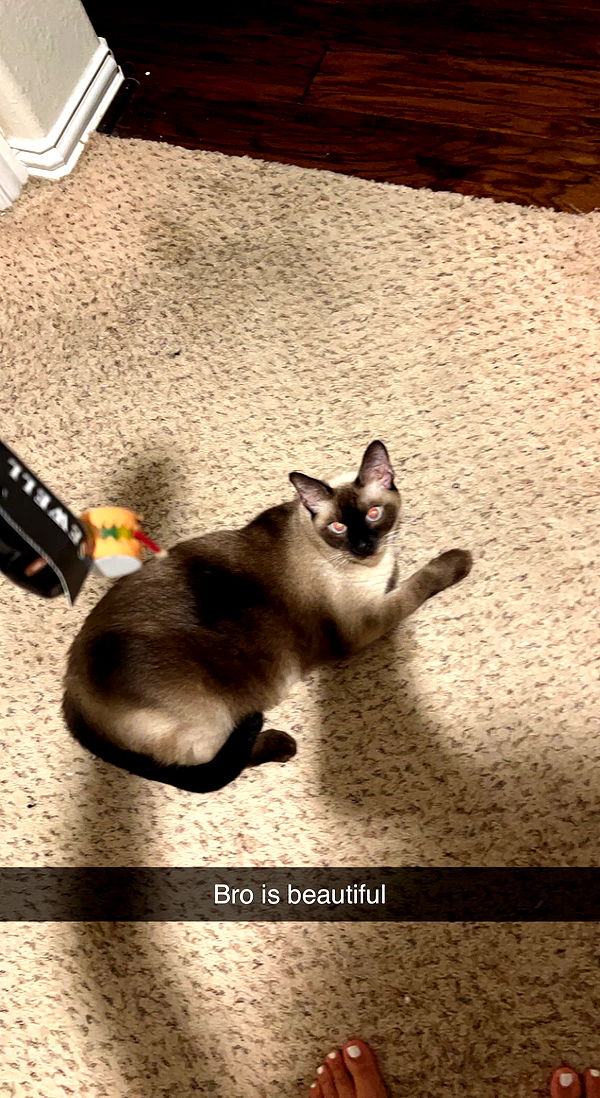 mbeeco image ~ Altpins