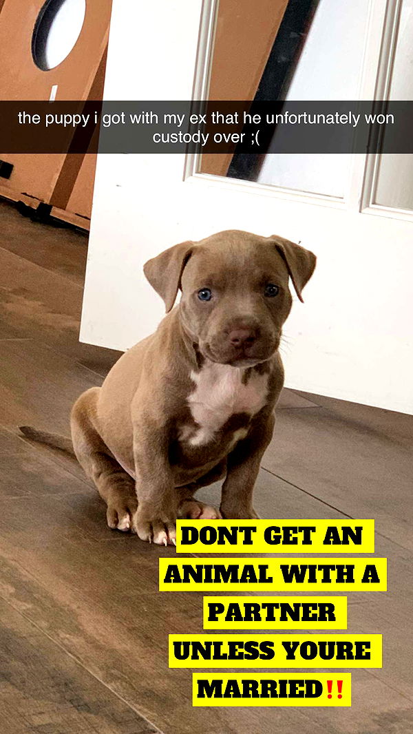 mbeeco image ~ Altpins