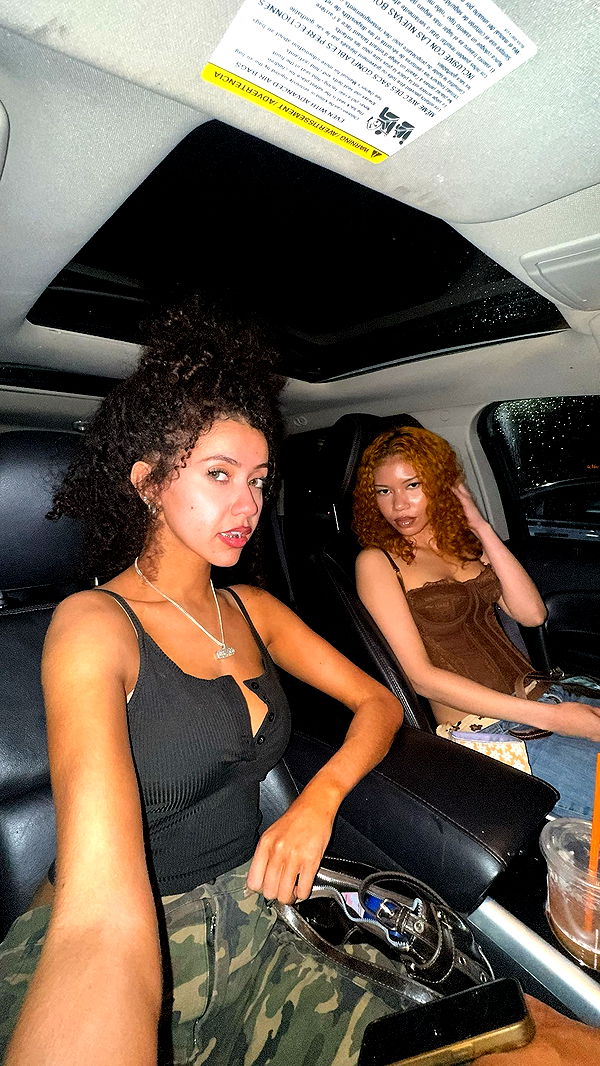 mbeeco image ~ Altpins