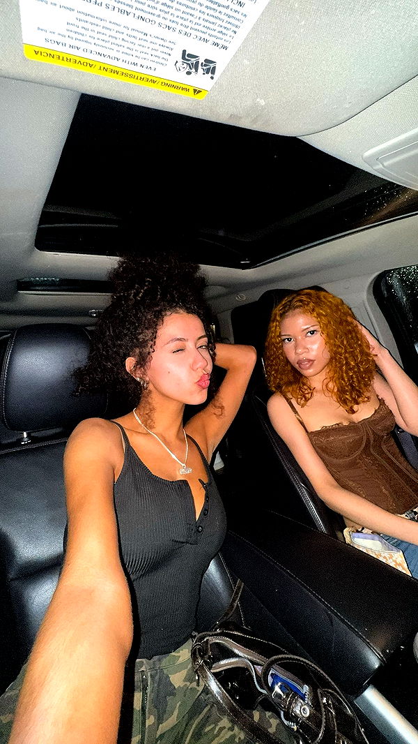 mbeeco image ~ Altpins