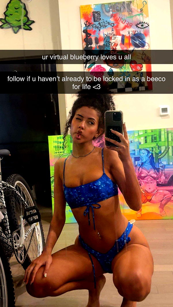 mbeeco image ~ Altpins