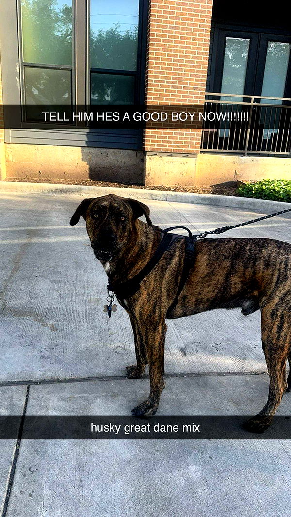 mbeeco image ~ Altpins